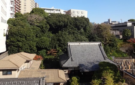 there were many trees back of the temple
