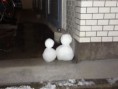 /album/snow/snow5-jpg/