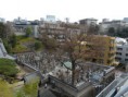 /album/my-office/scenery2-jpg1/